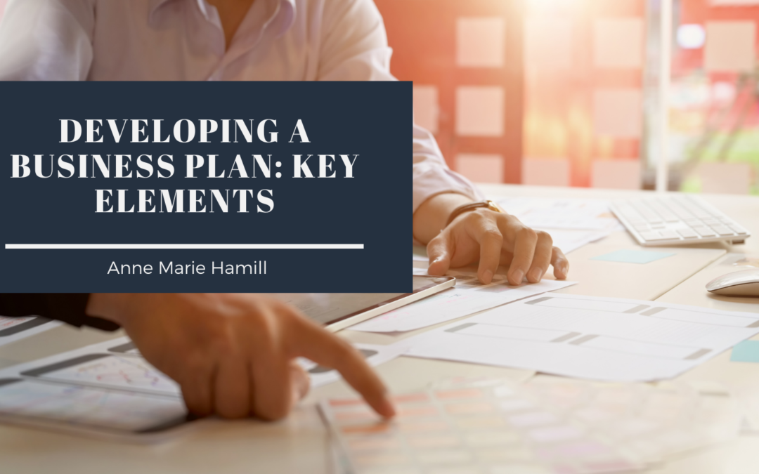 Developing A Business Plan Key Elements